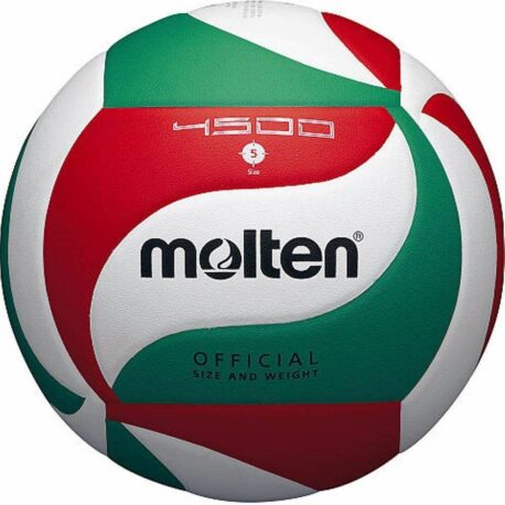 Волейбольний м'яч MOLTEN V5M 4500