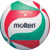 Волейбольний м’яч MOLTEN V5M 1500