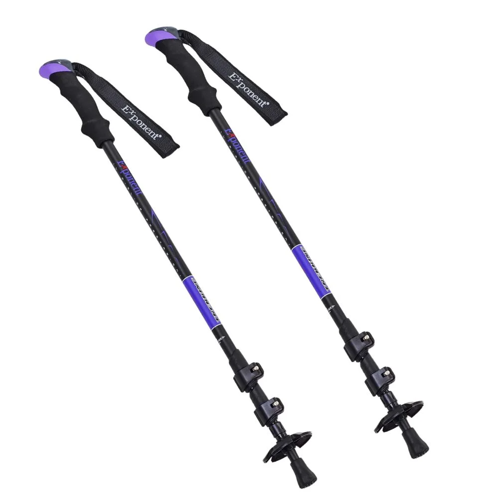 Палиці для трекінгу TY-8009 (пара.)