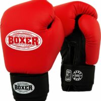 Боксерські рукавиці Boxer 2024 10oz (зам.)