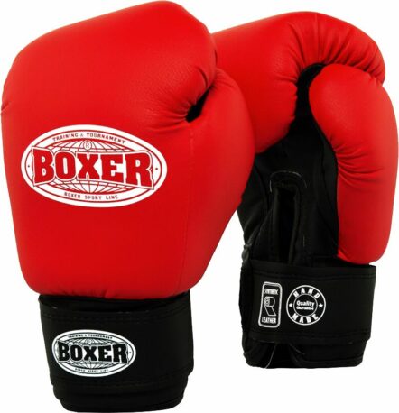 Бокс. рукавиці Boxer 2024 10oz (зам.)