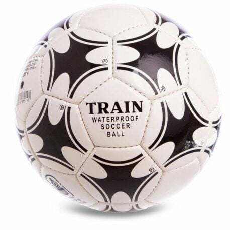 Футбольний м'яч FB-0655 Train