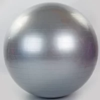 Мяч для фітнесу (гімнастичний) FI-1980 ф65