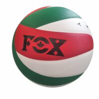 Волейбольний мяч FOX Fe5EL-8800