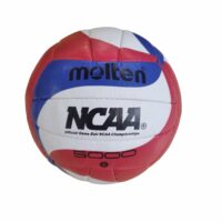 Волейбольний мяч RONEX/Mikasa/Molten