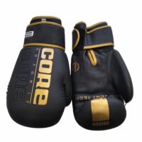 Боксерські рукавиці CORE 8oz зам. (ВО-8540)