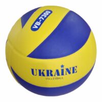 Волейбольний мяч VB-7300