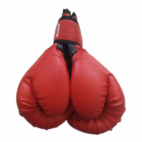 Боксерські рукавиці SportKo ПД-2 (7oz зам)