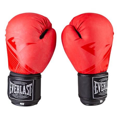 Боксерські рукавиці Everlast 10oz EV3597/10