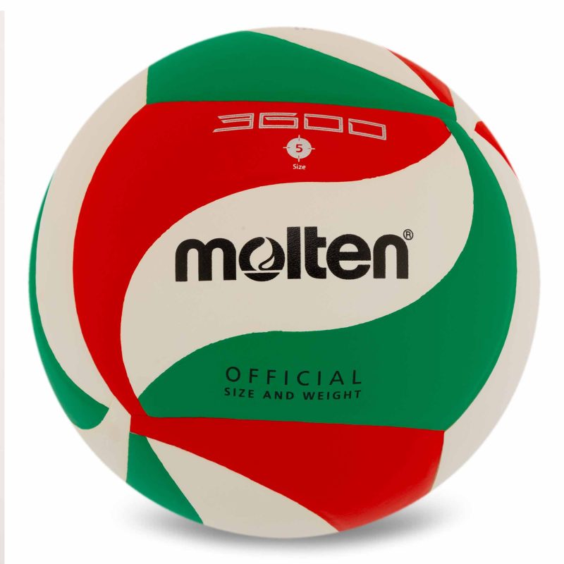 Волейбольний мяч MOLTEN V5M 3600