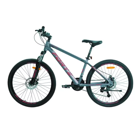 Велосипед FORTE COMPASS 25.2617-06S (колесо 26, рама 17)